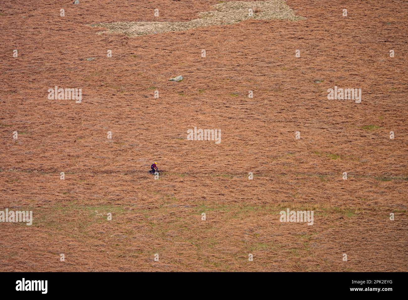Lone Mountain Biker in bicicletta lungo Dovestones Edge, sopra il lago artificiale Ladybower e le dighe Derwent, Peak District, Derbyshire, Regno Unito Foto Stock