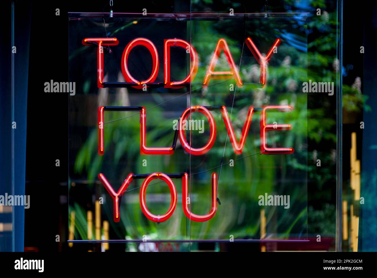 Primo piano su una luce al neon rossa a forma di breve frase "oggi ti amo". Foto Stock