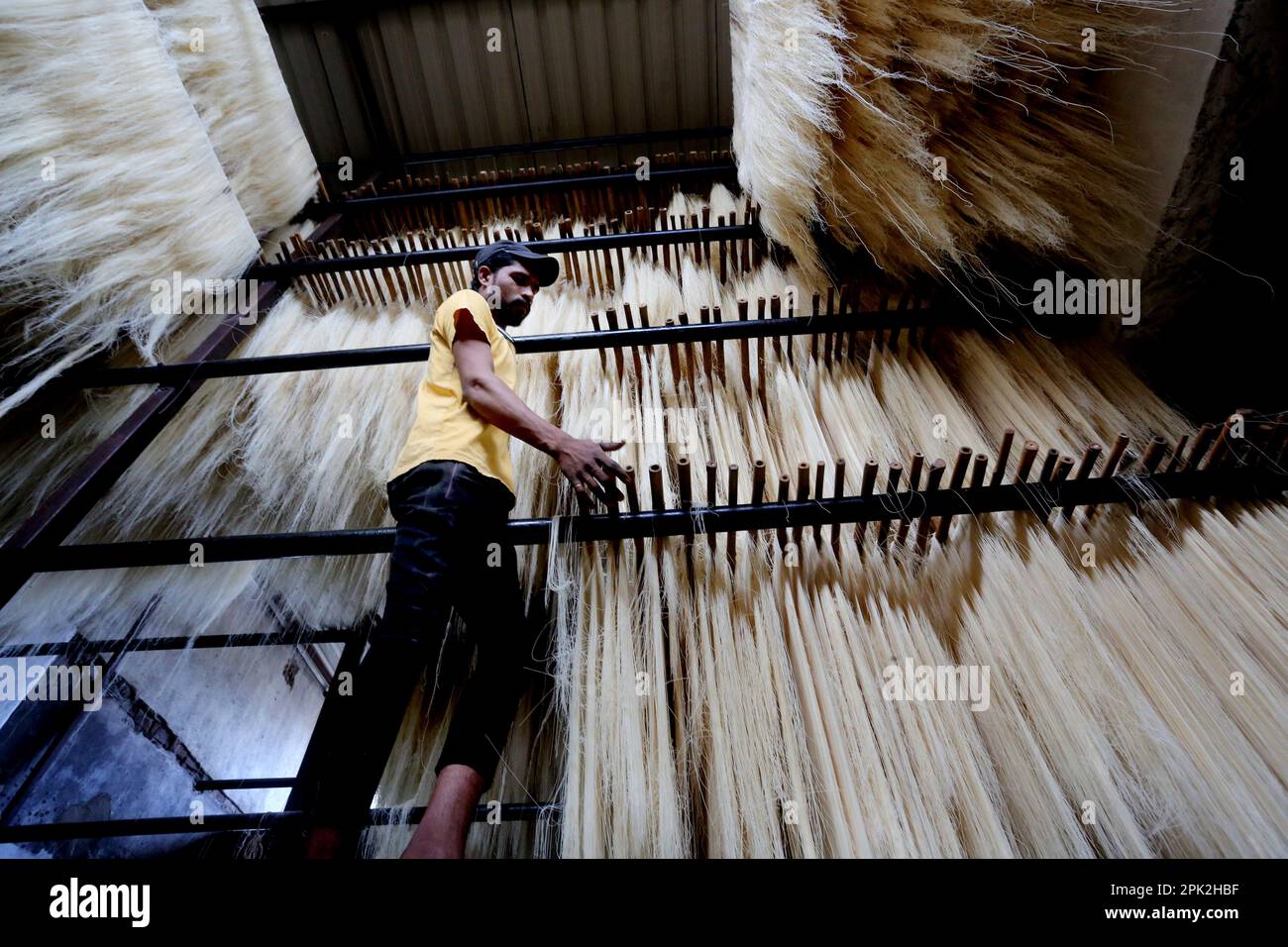 Bhopal, stato indiano di Madhya Pradesh. 4th Apr, 2023. Un lavoratore processi vermicelli utilizzati per rompere veloce durante il mese santo di Ramadan a Bhopal, capitale dell'India Madhya Pradesh stato, 4 aprile 2023. Credit: Str/Xinhua/Alamy Live News Foto Stock