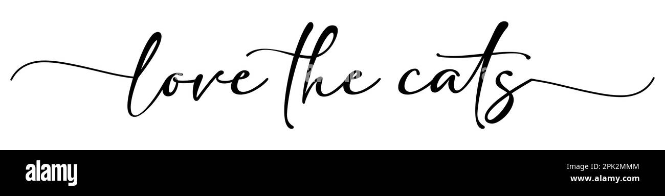 Ama la carta dei gatti. Citazione positiva disegnata a mano. Calligrafia a pennello moderna. Isolato su sfondo bianco Illustrazione Vettoriale