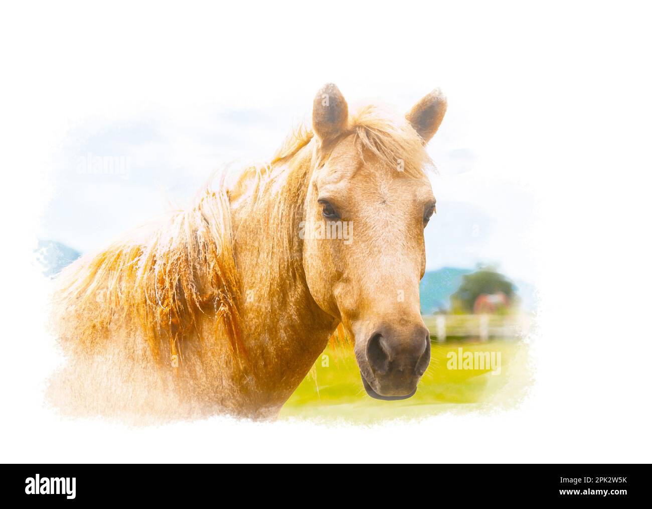 Pittura digitale di un cavallo bianco, pittura digitale di acquerello di un cavallo su sfondo bianco. Foto Stock