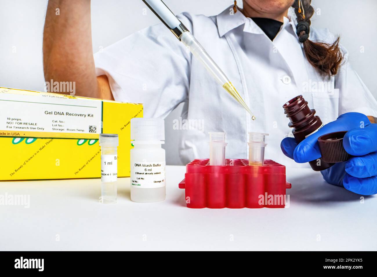 Medico scienziato di sesso femminile che pipetta i campioni in laboratorio Foto Stock