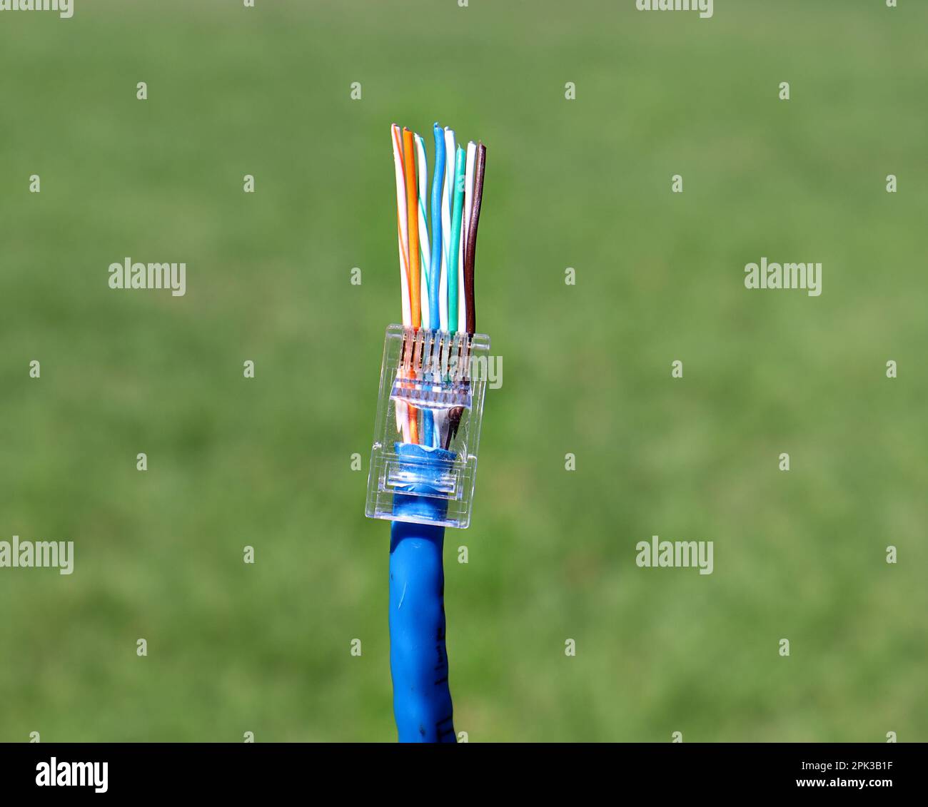 RJ45 collegamento ethernet Cablaggio T568B standard Foto Stock