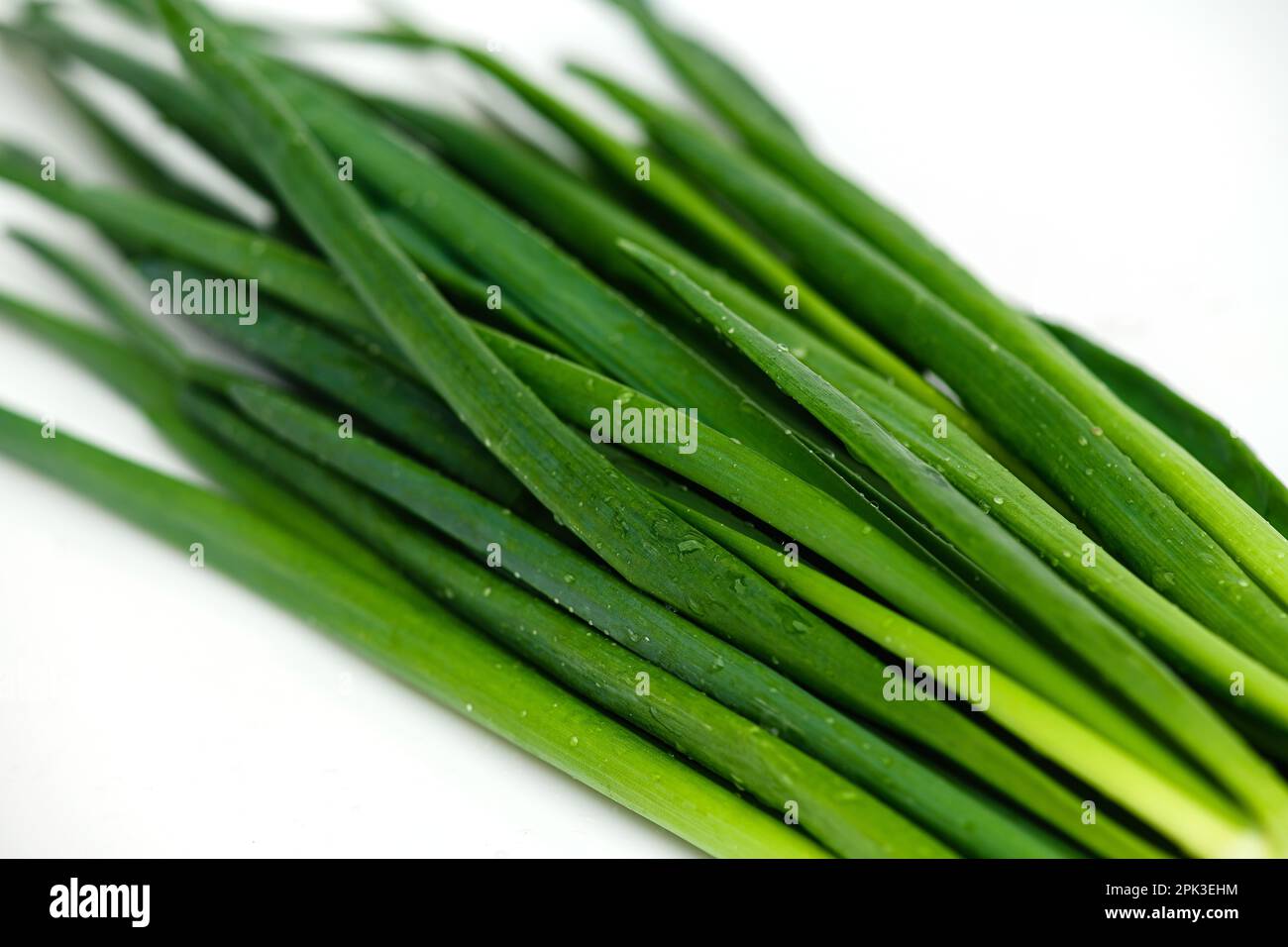 Cipolla verde con gocce d'acqua su fondo bianco. Primo piano. Foto Stock