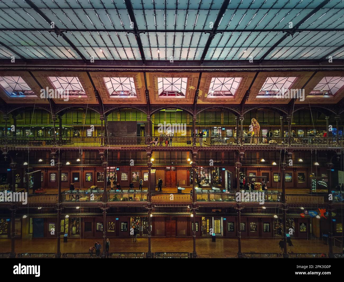 Vista all'interno del Museo di Storia Naturale, Parigi, Francia Foto Stock