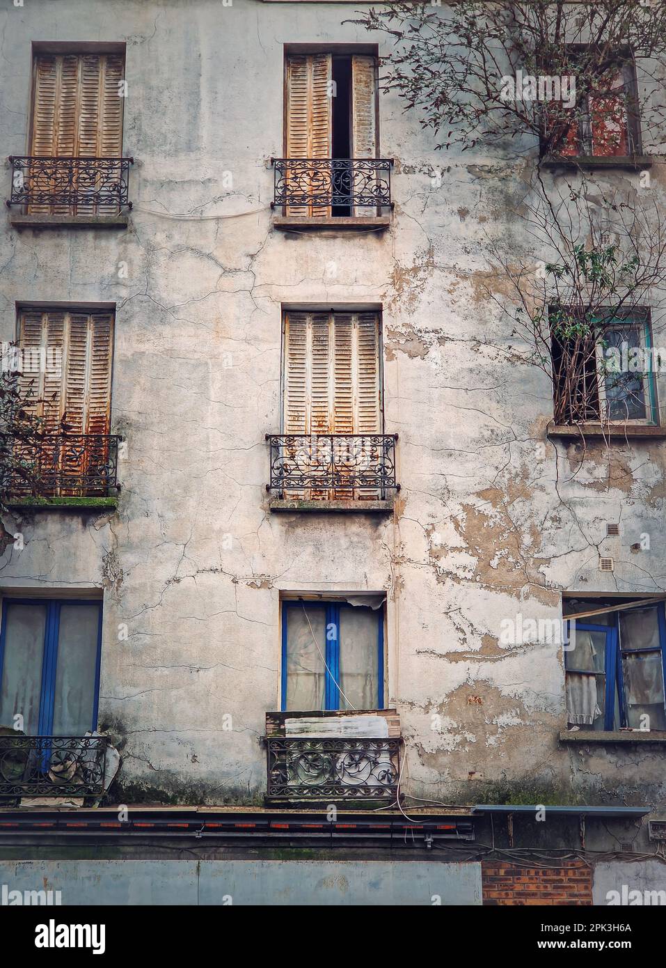 Facciata di un edificio abbandonato. Alberi e cespugli che crescono dalle finestre, feritoie arrugginite e pareti in cemento incrinato Foto Stock