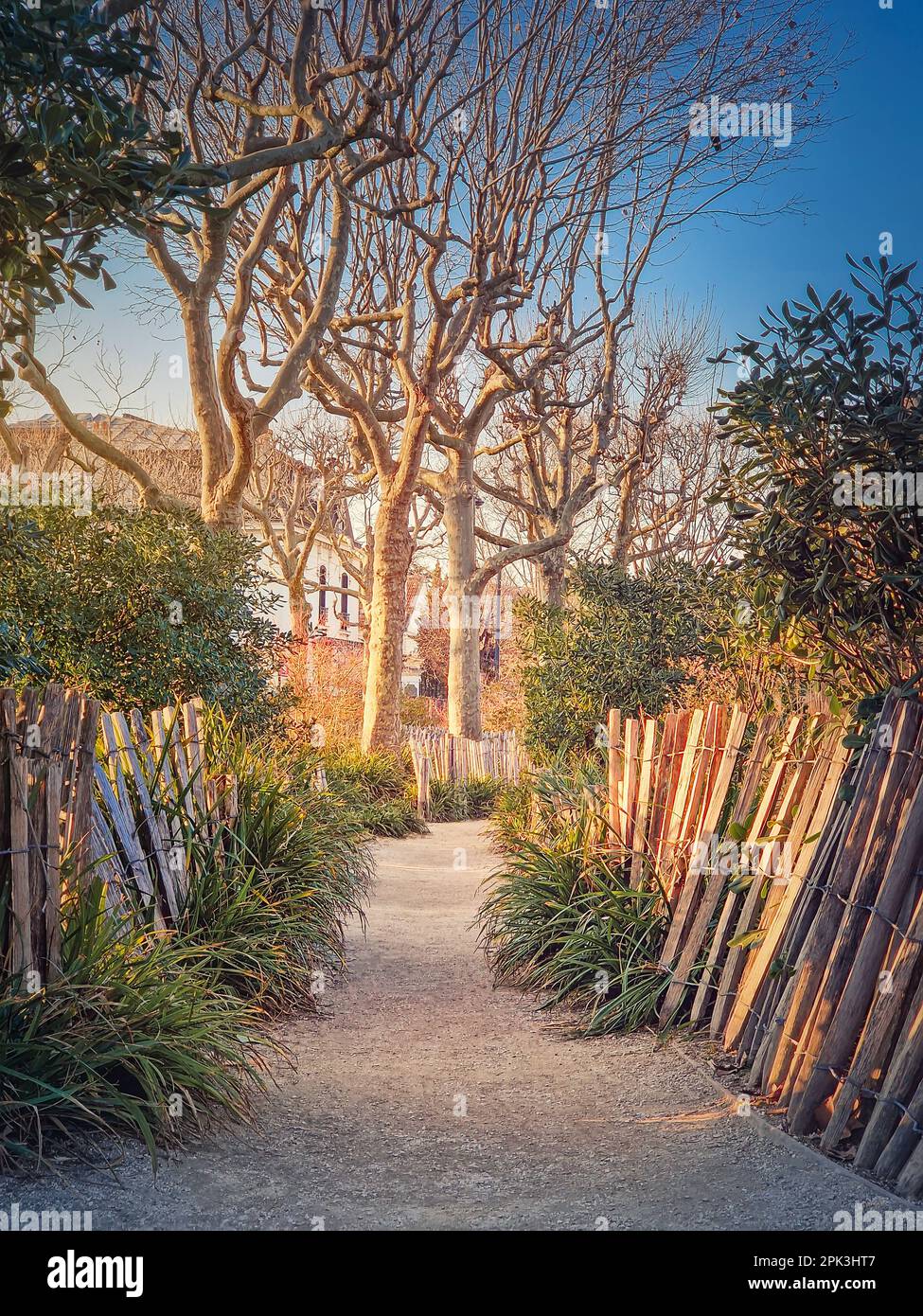 Stretto sentiero nel parco lungo recinzione in legno, piante e alberi di sicomoro nella piazza di Asnieres-sur-Seine mairie, Parigi, Francia Foto Stock