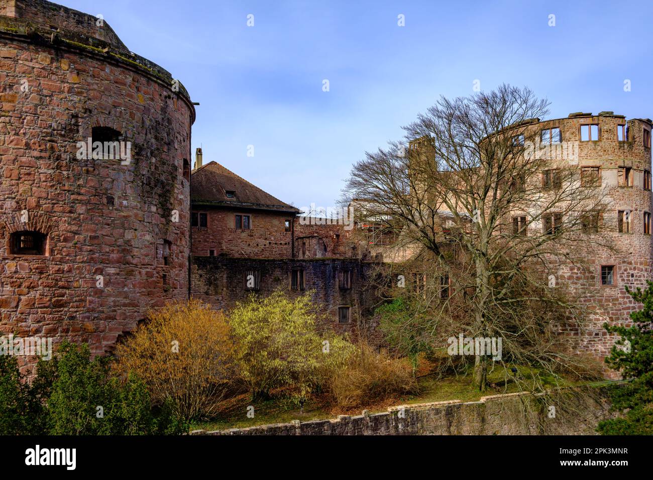 Lato est delle rovine del castello di Heidelberg, vista dal giardino del castello, Heidelberg, Baden-Württemberg, Germania, Europa. Foto Stock