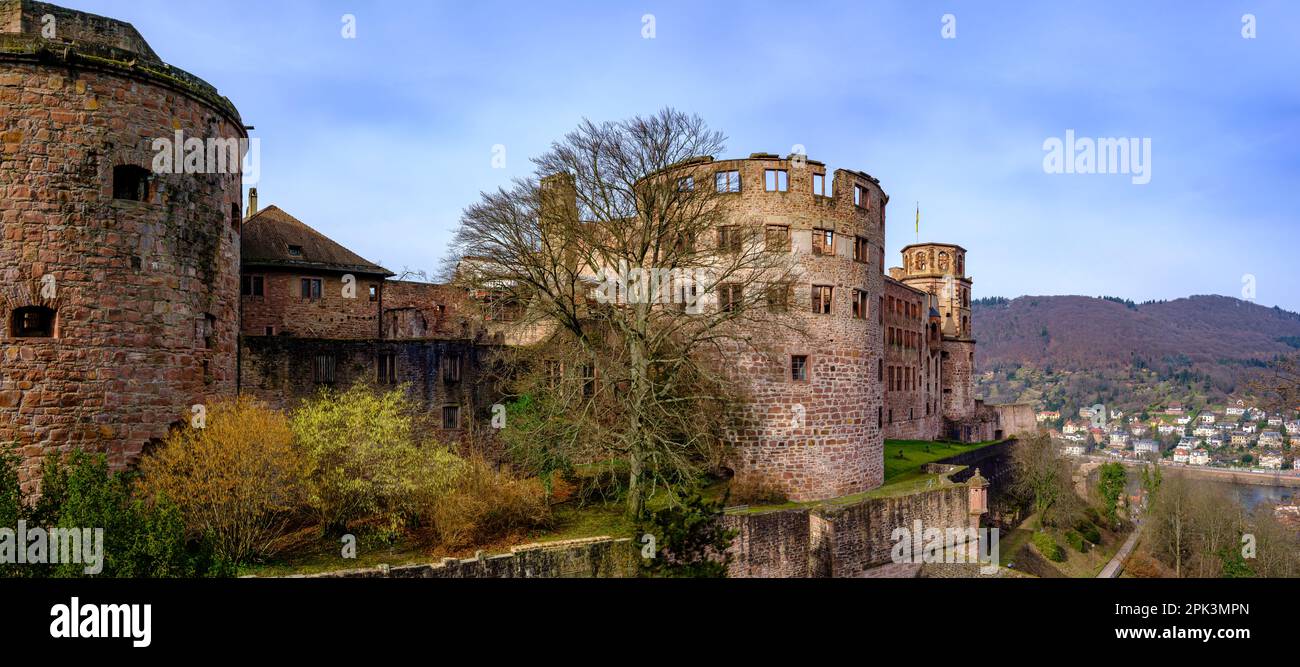 Lato est delle rovine del castello di Heidelberg, vista dal giardino del castello, Heidelberg, Baden-Württemberg, Germania, Europa. Foto Stock
