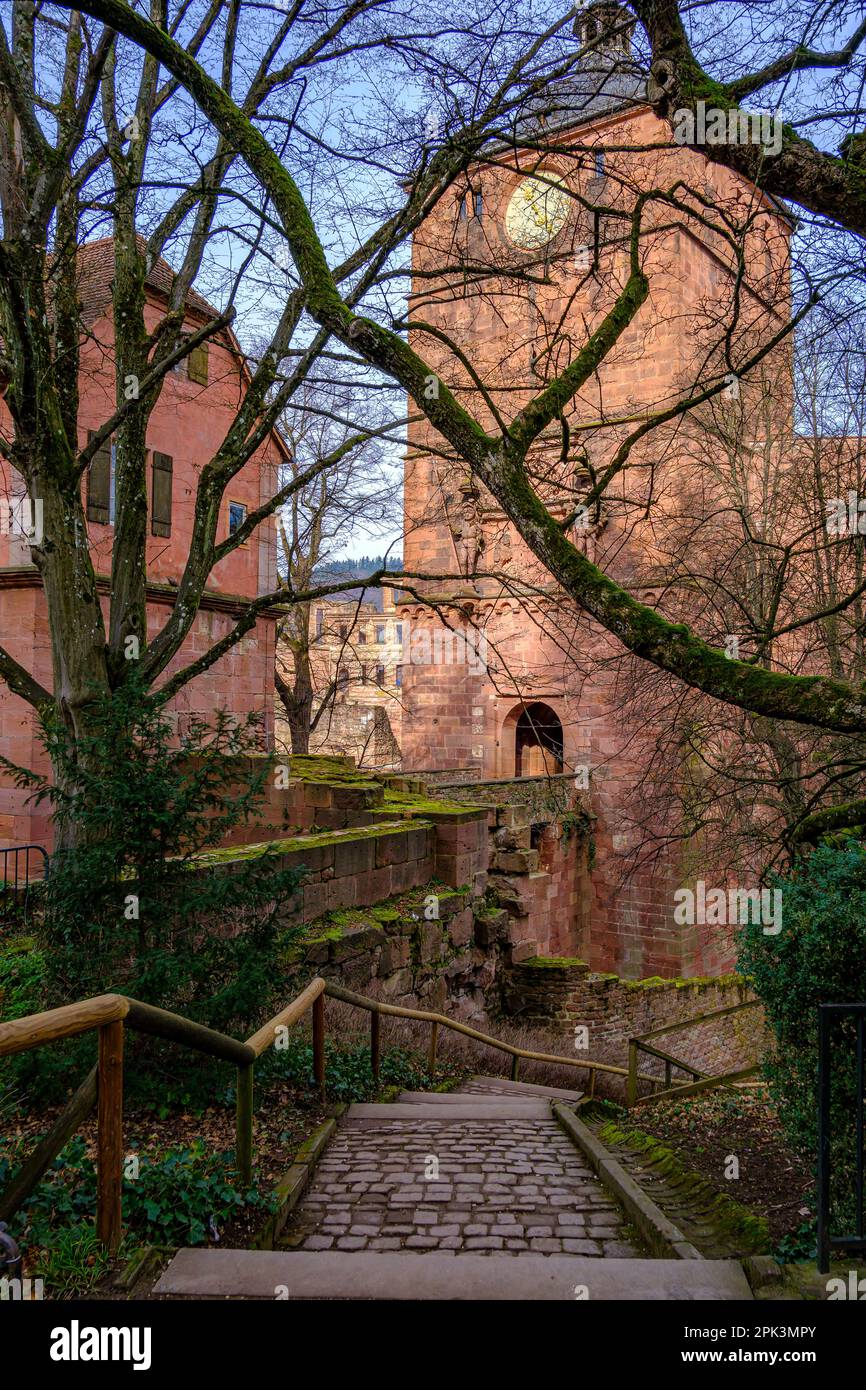 Castello di Heidelberg, Heidelberg, Baden-Württemberg, Germania, Europa, vista sud della Torre della porta (Torturm), chiamata anche Torre dell'Orologio (Uhrenturm). Foto Stock