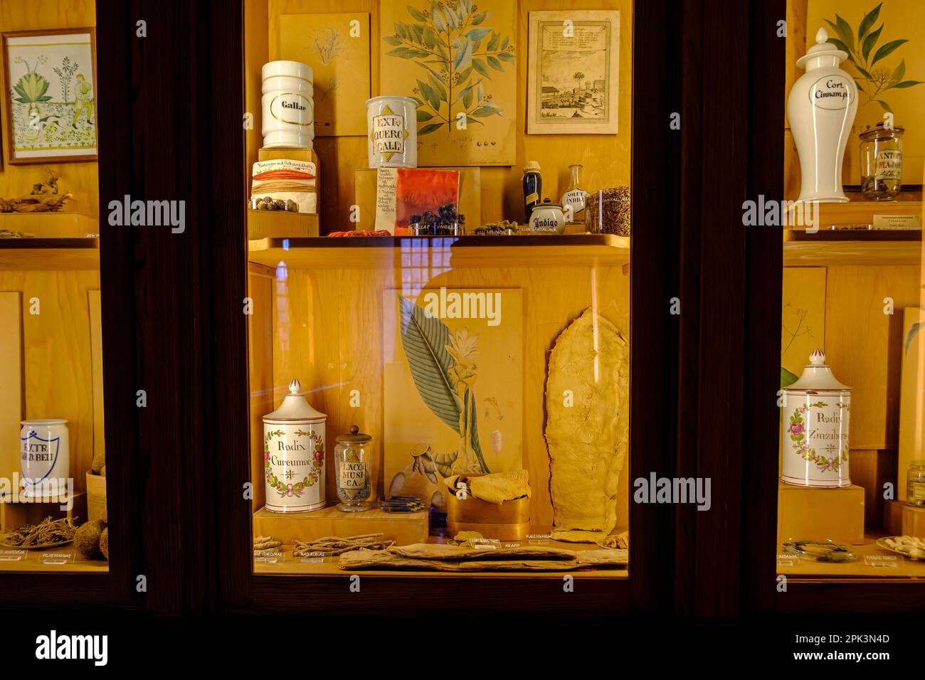 Museo della Farmacia tedesca nel Castello di Heidelberg, Heidelberg, Baden-Württemberg, Germania, Europa. Foto Stock