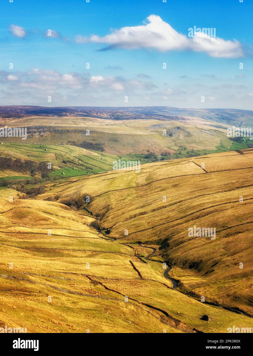 Immagine verticale di Swaledale con fienili di pietra presi dal Passo di Buttertubs nel Parco Nazionale di Yorkshire Dales, North Yorshire, Inghilterra, Regno Unito Foto Stock