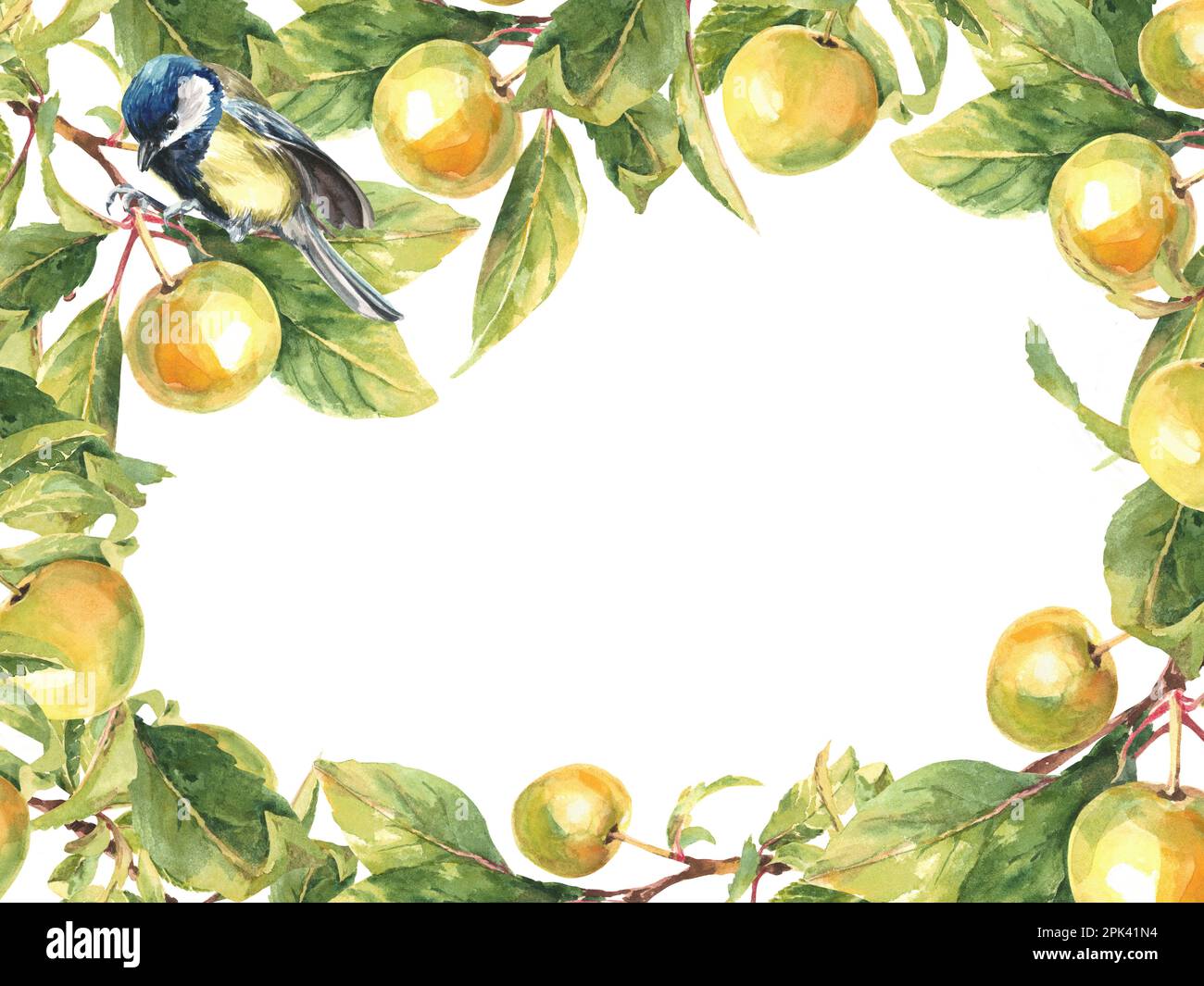 Cornice rettangolare di rami di mela gialla. illustrazione acquerello Foto Stock
