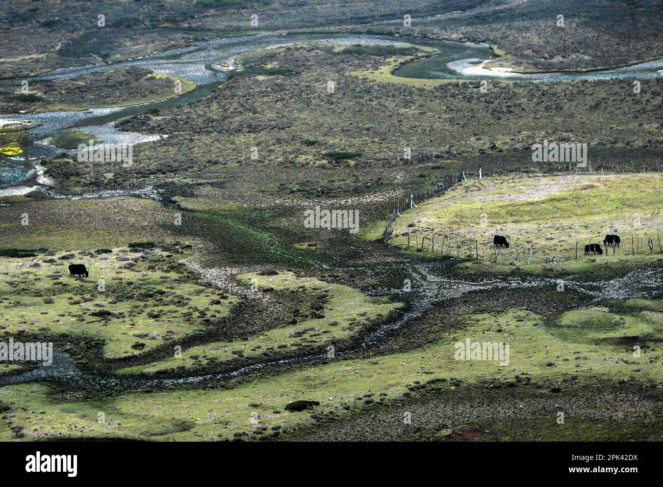 Vista dall'alto della Valle di Chopta, uno dei luoghi più panoramici naturalmente a Lachen, Sikkim settentrionale, India. E' un'attrazione turistica molto popolare. Foto Stock