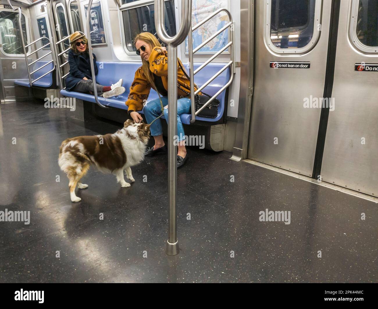 Una donna prende il suo cane sulla metropolitana di New York domenica 26 marzo 2023. I sistemi di transito di massa, così come molte piccole e medie imprese, in tutti gli Stati Uniti sono effettuati dalla riduzione della riversazione causata dal lavoro ibrido.(© Richard B. Levine) Foto Stock