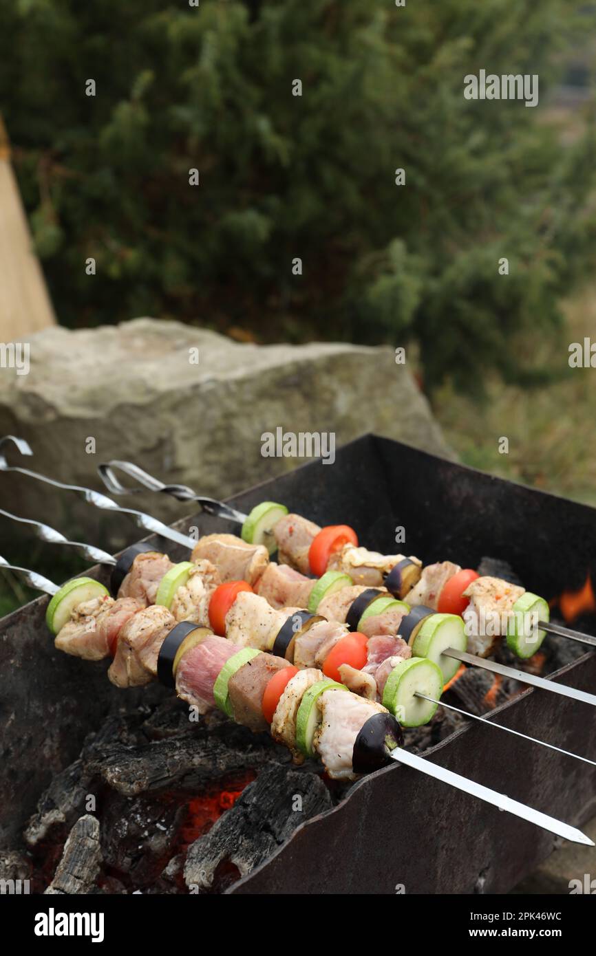 Cucinare carne e verdure su braciere all'aperto Foto Stock