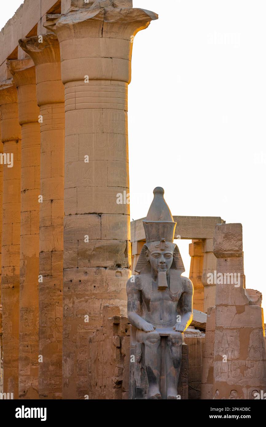 Il Colosso di Ramesses ll nella prima Corte, Tempio di Luxor, Luxor, Egitto, Africa del Nord-Est Foto Stock