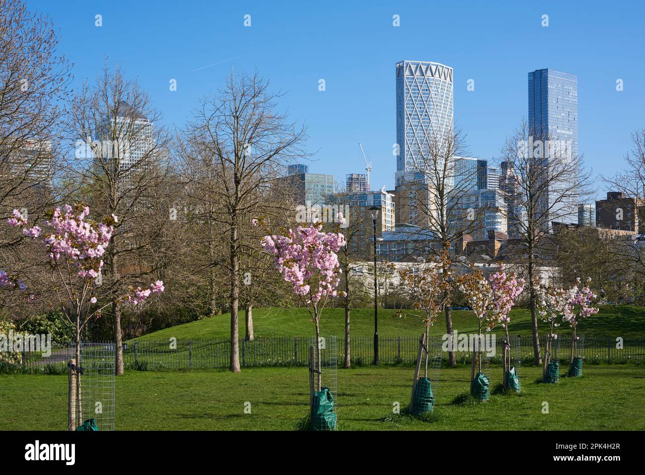 Ropemaker's Field, vicino a Limehouse, London Docklands UK, in primavera, guardando verso Canary Wharf Foto Stock