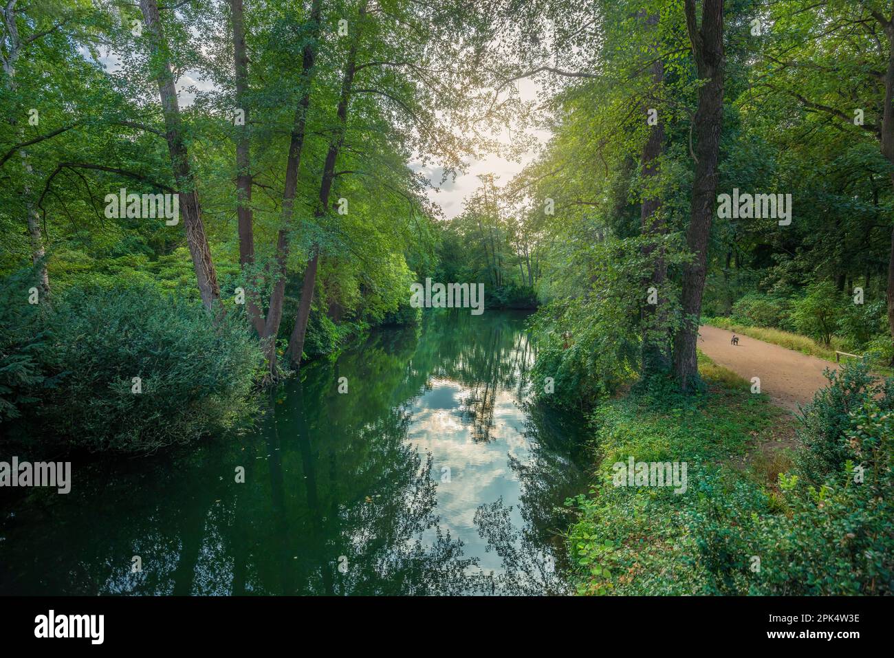 Piccolo fiume al parco Tiergarten - Berlino, Germania Foto Stock