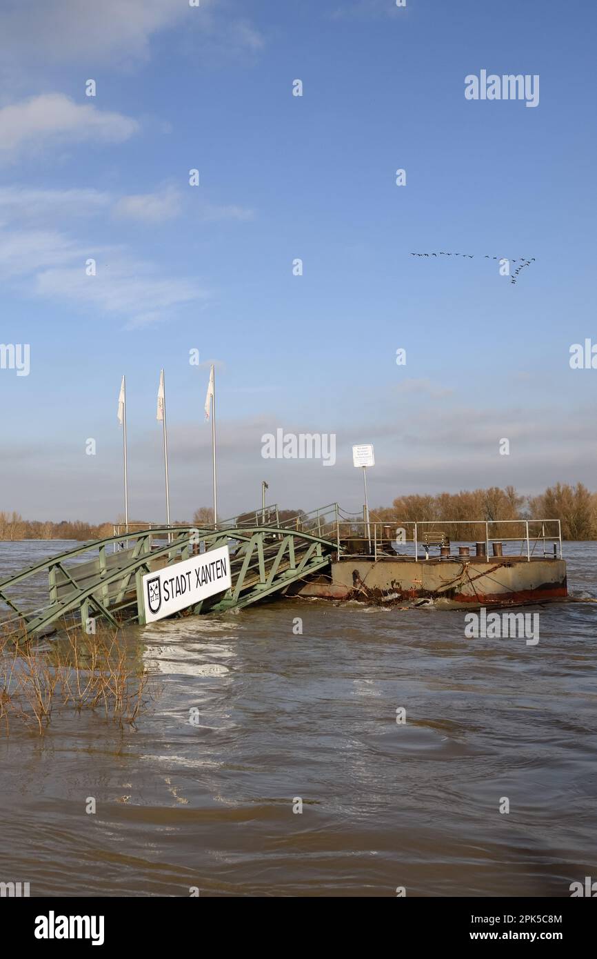 alluvione invernale... Attracco dei traghetti ( Xanten ), acque alte del Reno, Renania settentrionale-Vestfalia, Germania Foto Stock