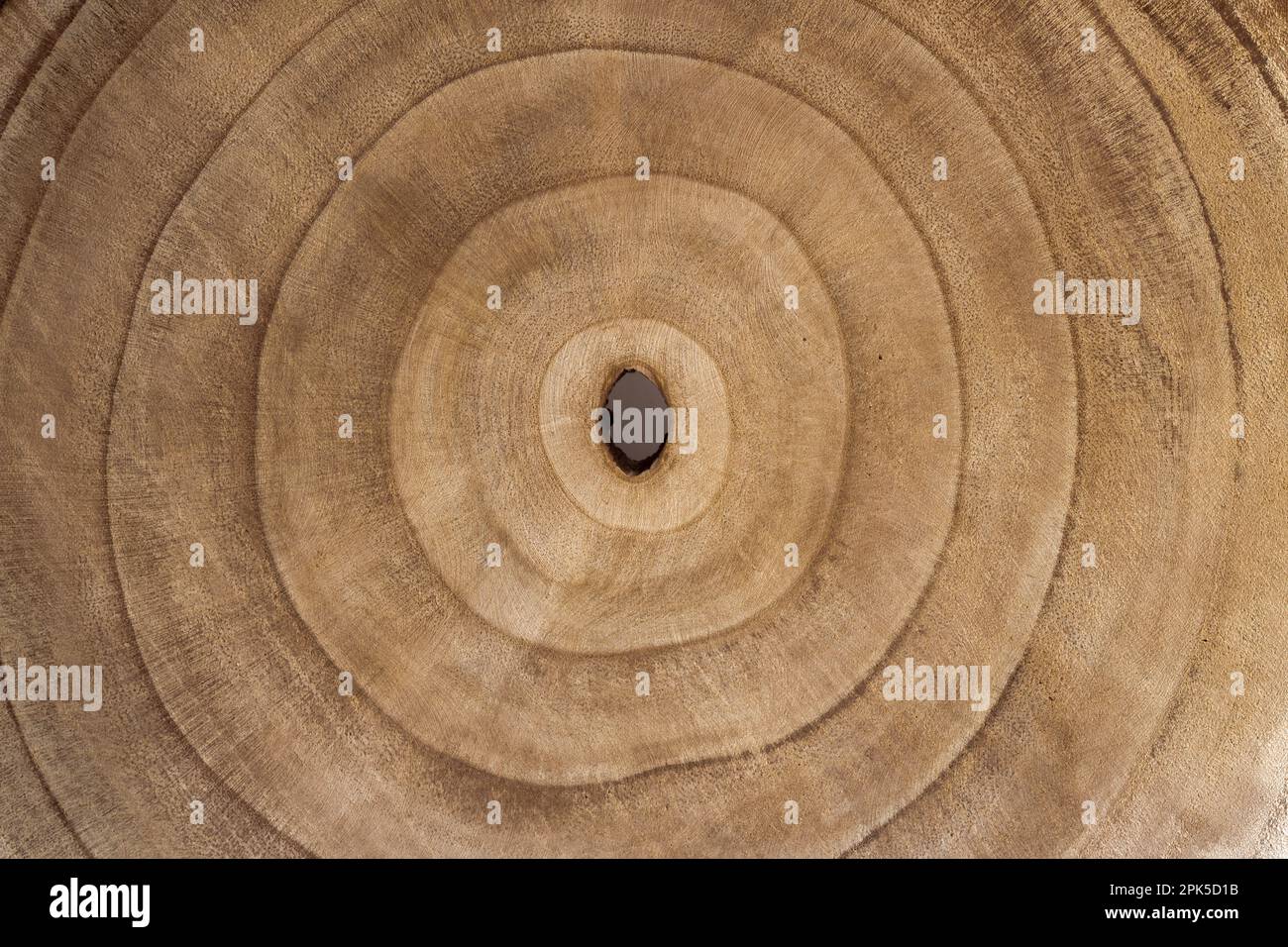 Sfondo in sezione trasversale di un albero Foto Stock