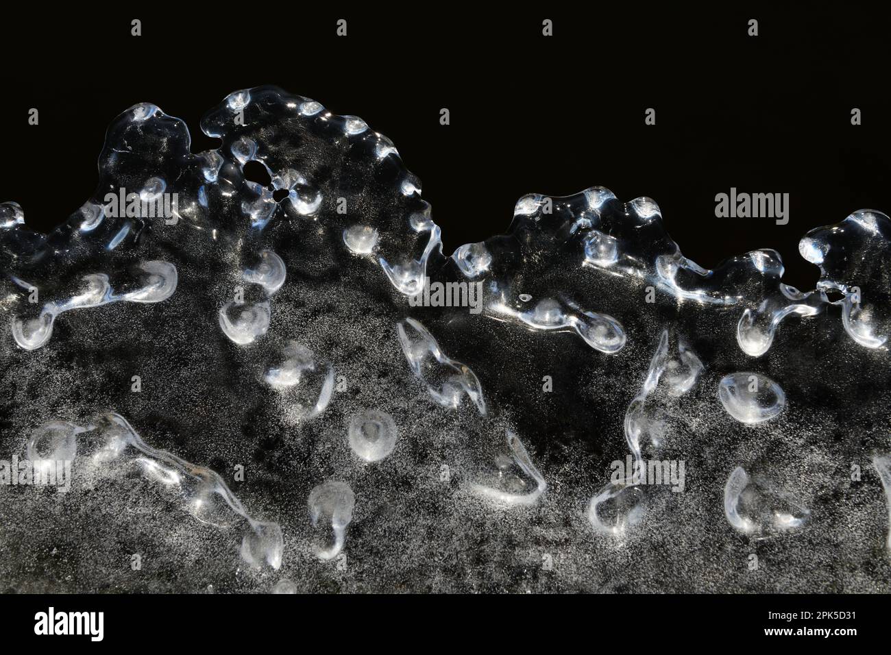 acqua congelata... Lastra di ghiaccio ( alluvione invernale 2020/2021 ), scultura di ghiaccio creata naturalmente dal gelo, dal vento e dal sole Foto Stock