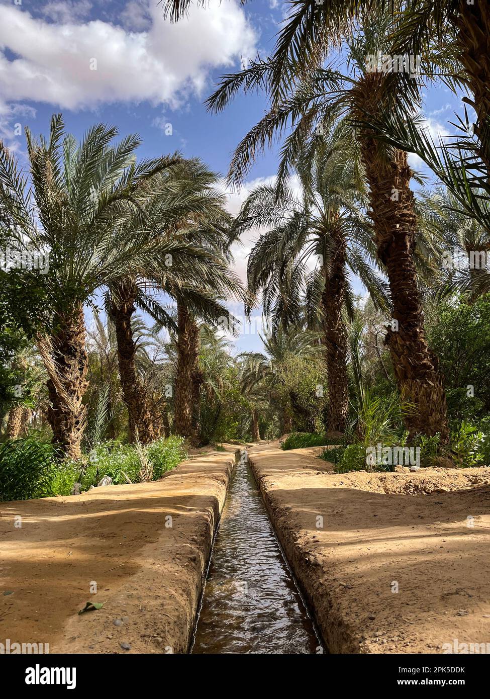 Marocco, Africa: Canale di irrigazione sul terreno sabbioso in un palmeto e oasi vicino a Merzouga, città di partenza per i turisti in visita Erg Cheb dune Foto Stock