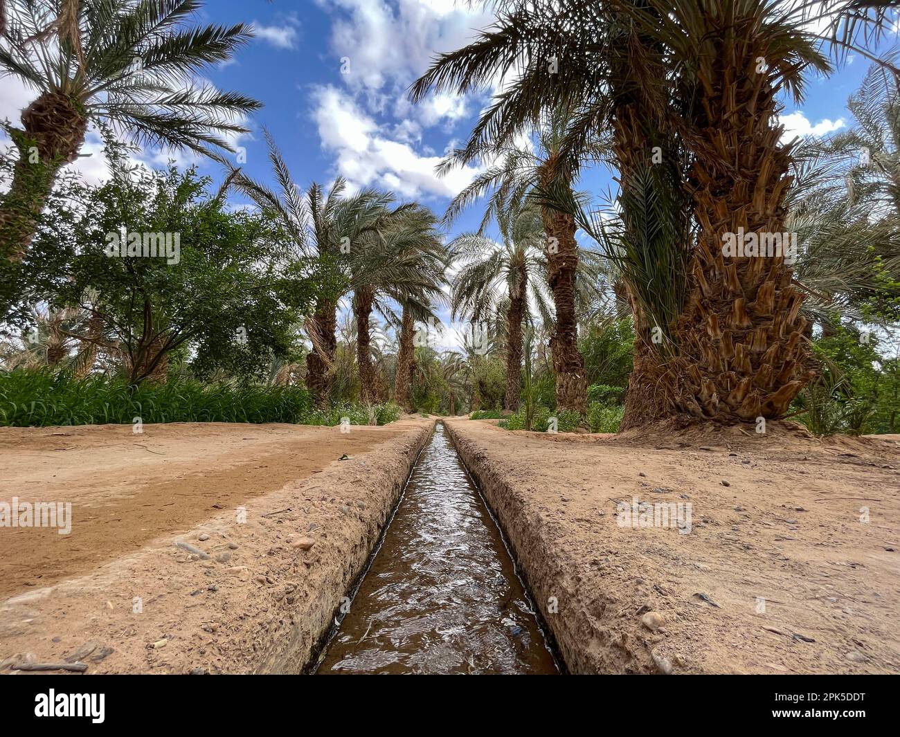 Marocco, Africa: Canale di irrigazione sul terreno sabbioso in un palmeto e oasi vicino a Merzouga, città di partenza per i turisti in visita Erg Cheb dune Foto Stock