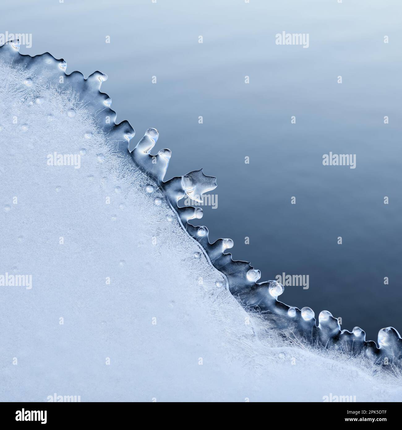 ghiaccio freddo... Piastra di ghiaccio ( alluvione invernale 2020/2021 ), scongelata, naturalmente formata dal vento e dal tempo dopo alluvione scaduta su una recinzione di filo spinato Foto Stock