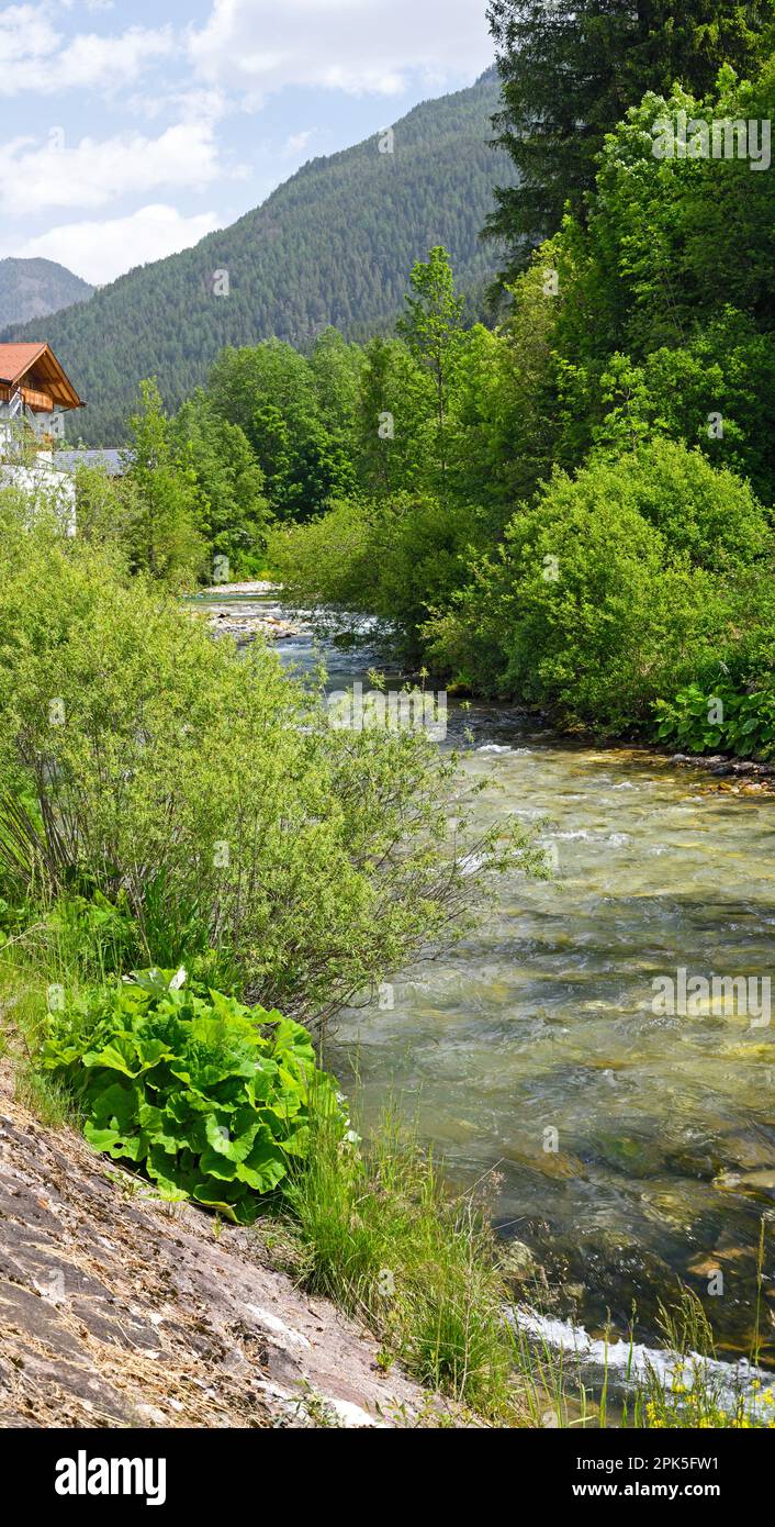 Fiume a Soraga nelle Dolomiti Foto Stock