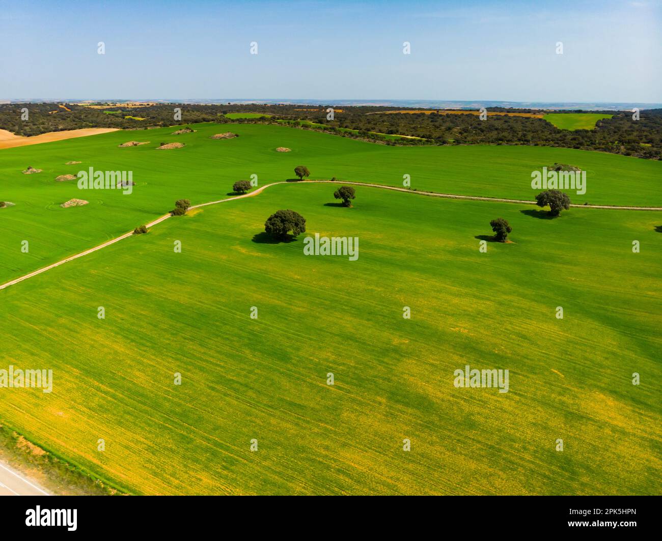 Vista aerea del drone. Castilla-la Mancha campi verdi agricoli Foto Stock