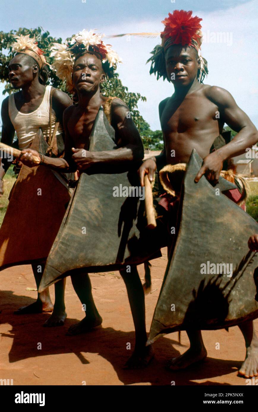 Repubblica democratica del Congo: Festeggiamenti per celebrare l'indipendenza dal Belgio, 30 giugno 1960. Mangbetu uomini che suonano tamburi spaccati. Foto Stock