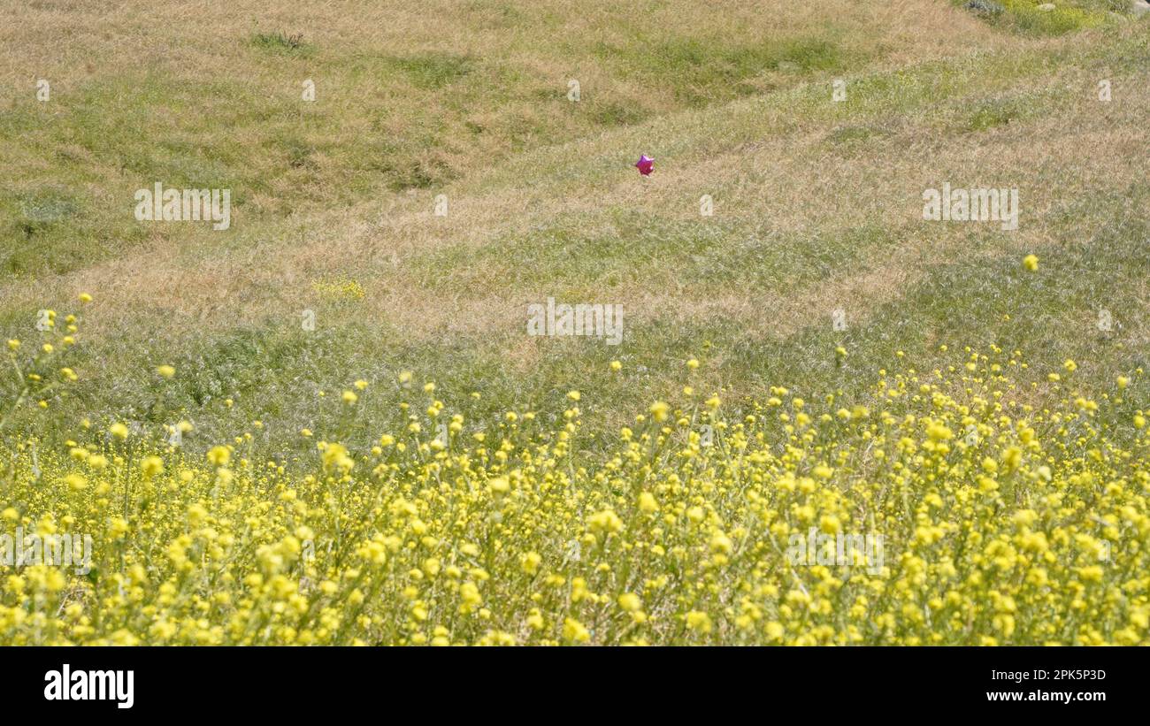 Non tutti coloro che vagano Foto Stock