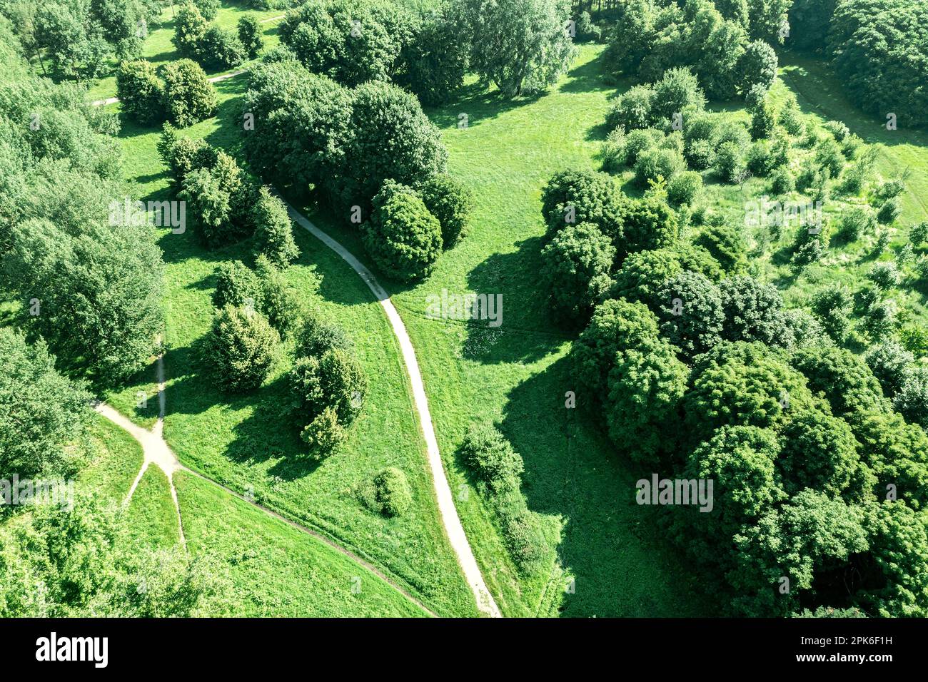 percorso a piedi tra gli alberi nel parco estivo durante le giornate estive. vista aerea. Foto Stock