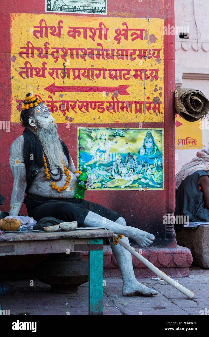 Sadhu, uomo santo indù, Varanasi, Utttar Pradesh, India Foto Stock