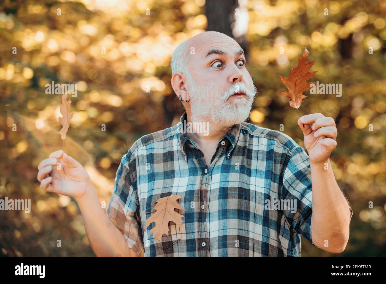 Ritratto di felice uomo anziano nel parco in autunno. Nonno divertendosi nel parco autunnale. Nonno dell'età dell'oro. Foglie autunnali cadute disseminate Foto Stock