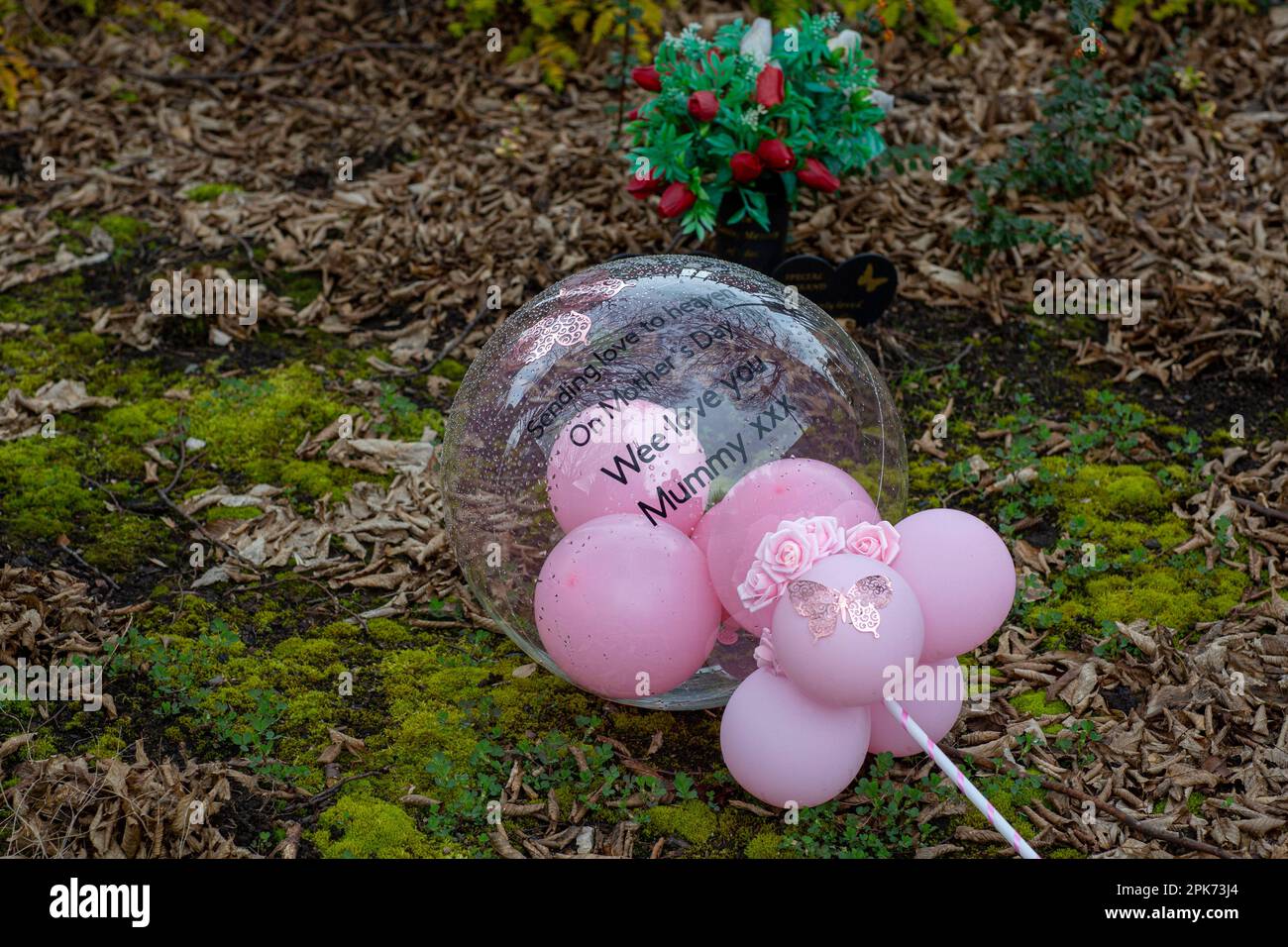 Palloncino rosa che dice "l'amore per il paradiso il giorno delle madri ti amiamo mummia" al Shankill Road Memorial Gardens Belfast, Irlanda del Nord. Foto Stock
