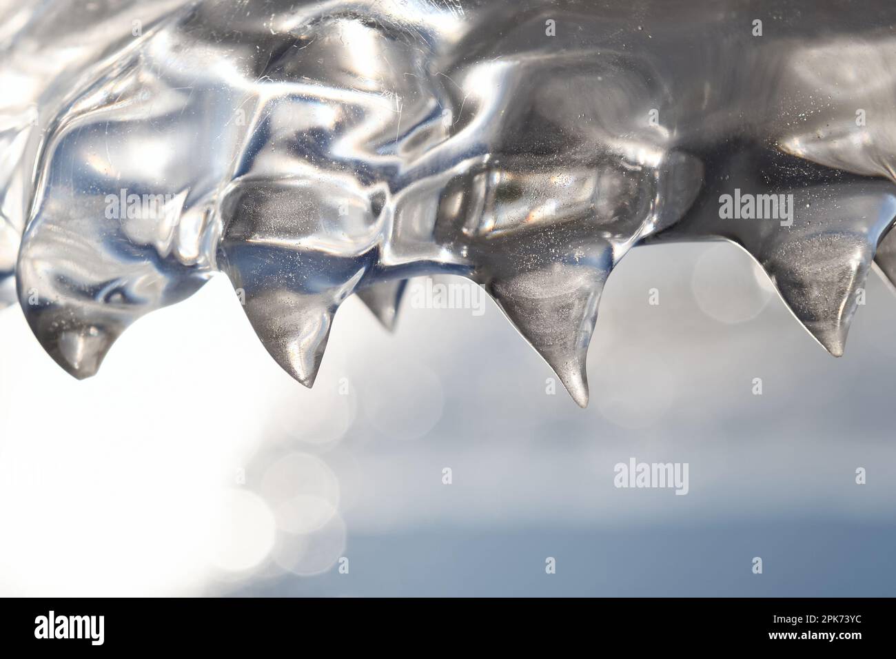 la zampa dell'orso... Formazioni di ghiaccio (alluvione invernale 2020/2021) formate da vento e tempo su un palo di recinzione dopo alluvione in recedimento Foto Stock