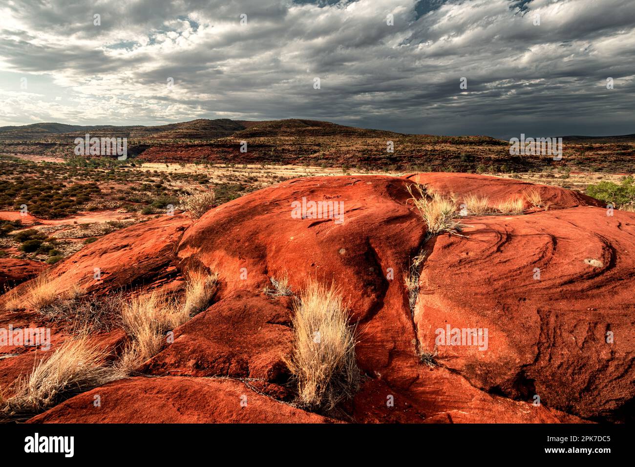 Kalarranga Lookout nel Finke Gorge National Park. Foto Stock