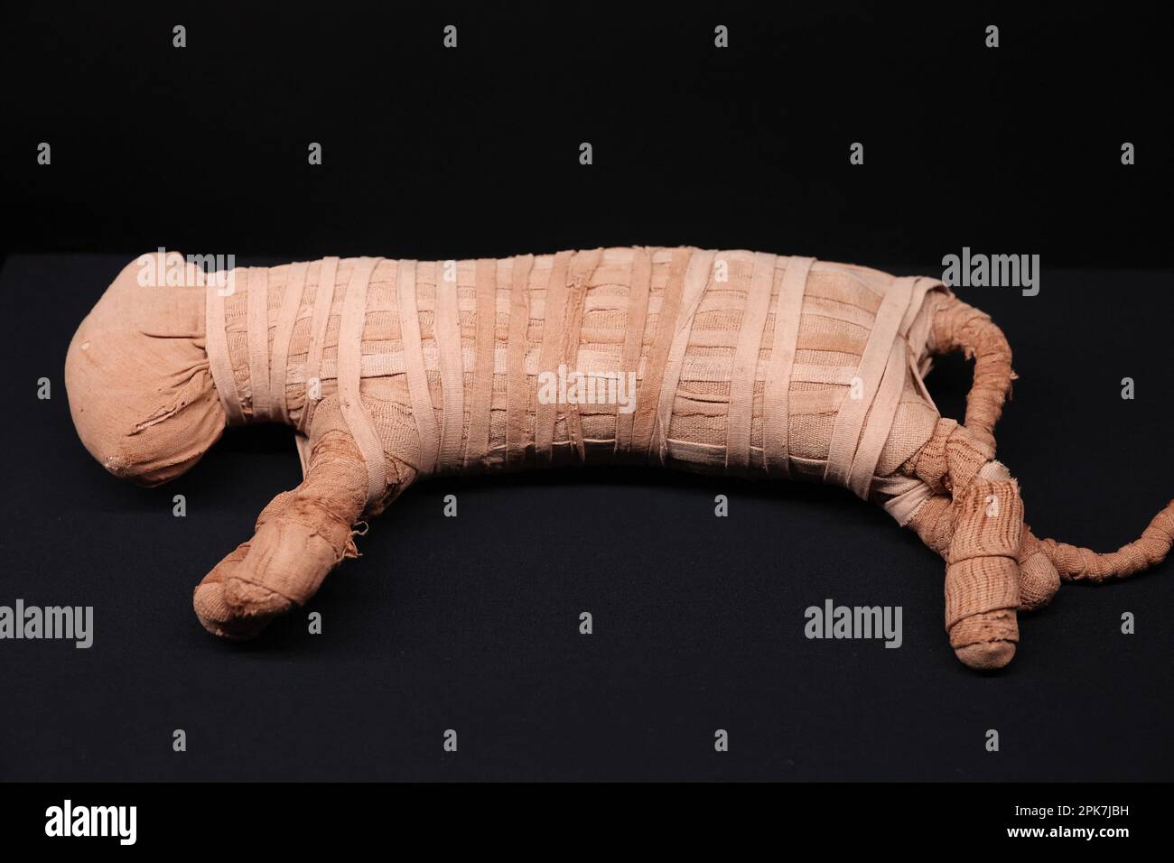 Parigi (Francia), 6 aprile 2023, la mostra “Ramses il Grande e l’Oro dei Faraoni” alla Grande Halle de la Villette di Parigi (Francia), il 6 aprile 2023, aprirà dal 7 aprile al 6 settembre. Saranno esposte circa 180 opere eccezionali, tra cui il famoso Tesoro di Tanis e la collana d'oro di Psusenes i, o il sarcofago del faraone Ramses II Foto di Jerome Domine/ABACAPRESS.COM Credit: Abaca Press/Alamy Live News Foto Stock