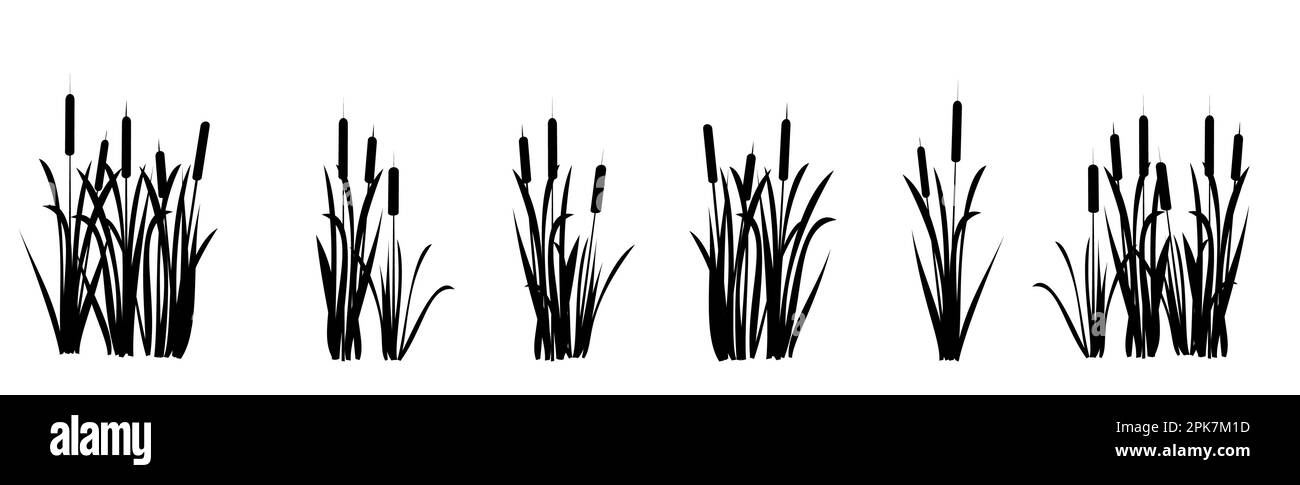 Set di tiri di canne. Paesaggio paludoso. Vista sulla riva del fiume. Immagine della silhouette. Isolato su sfondo bianco. Vettore. Illustrazione Vettoriale