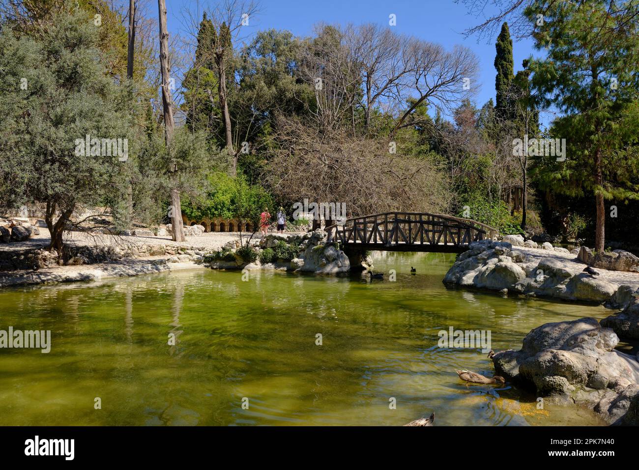 Lago nei Giardini nazionali di Atene in primavera Foto Stock