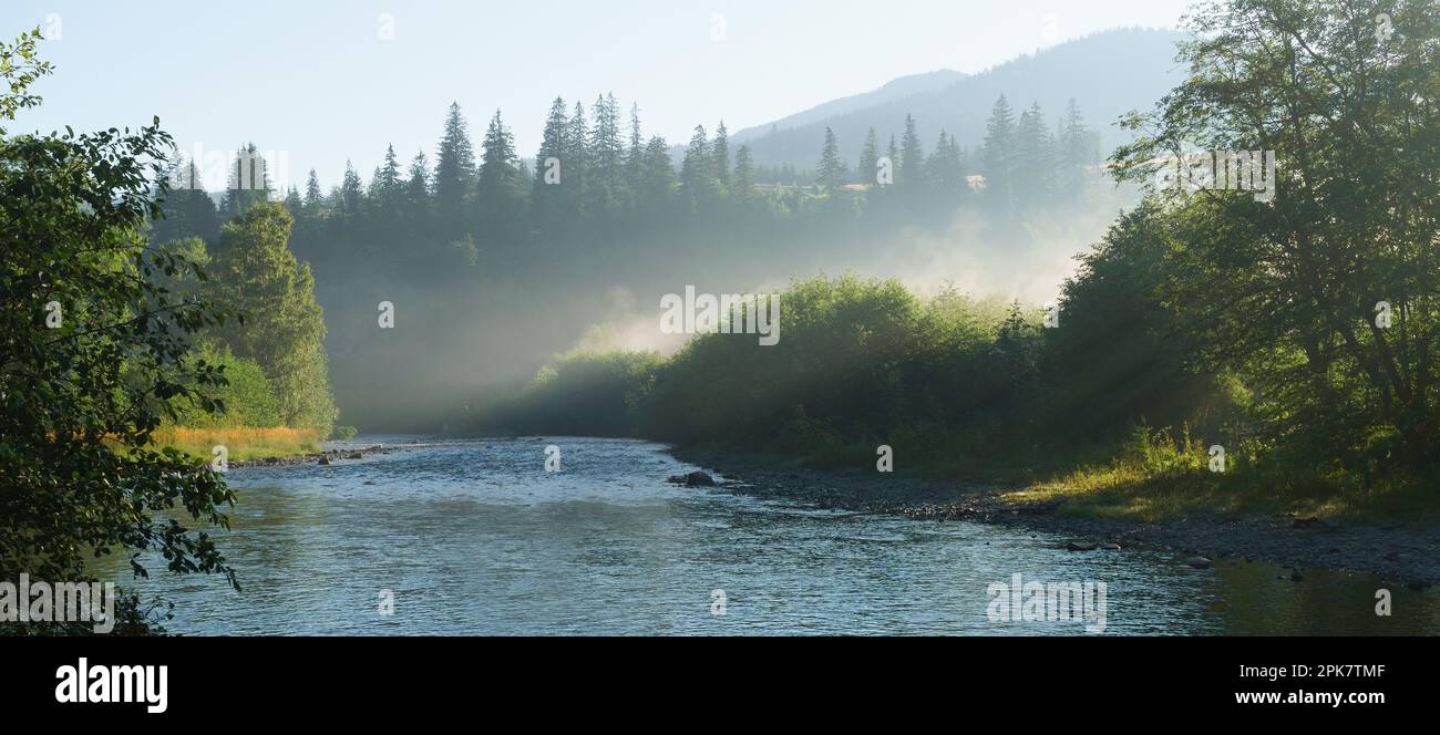 Vista panoramica del fiume prato foresta in nebbia di nebbia mattutina. Bella di natura. Vacanza estiva concetto di viaggio. Carta da parati tranquilla e naturale. Foto Stock