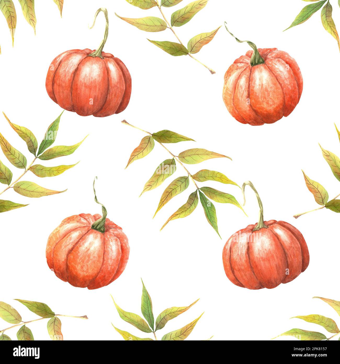 Acquerello senza cuciture con zucche e foglie. Illustrazione isolata su bianco Foto Stock