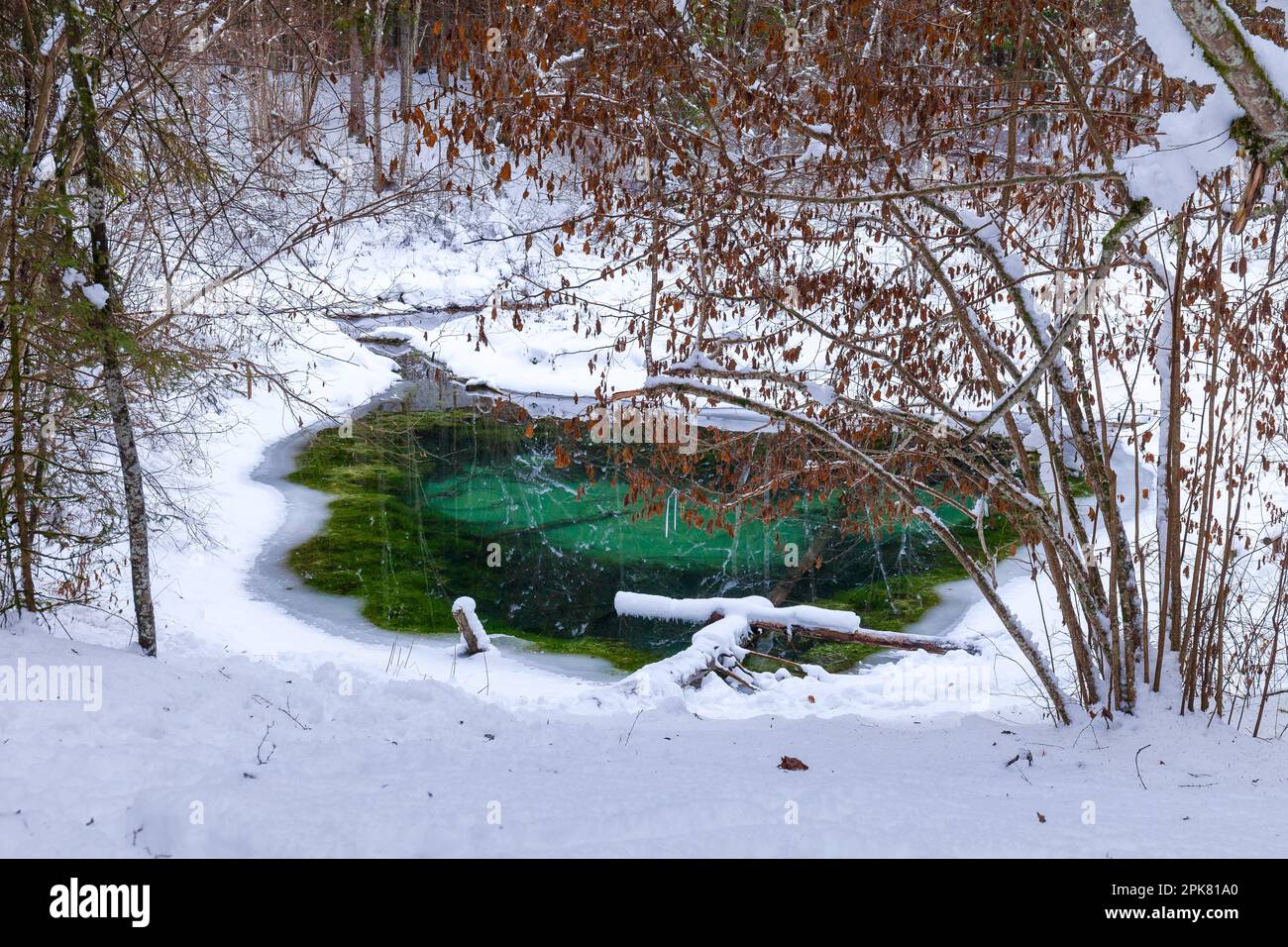 Inverno Saula Blue Springs (siniallikad) Foto Stock