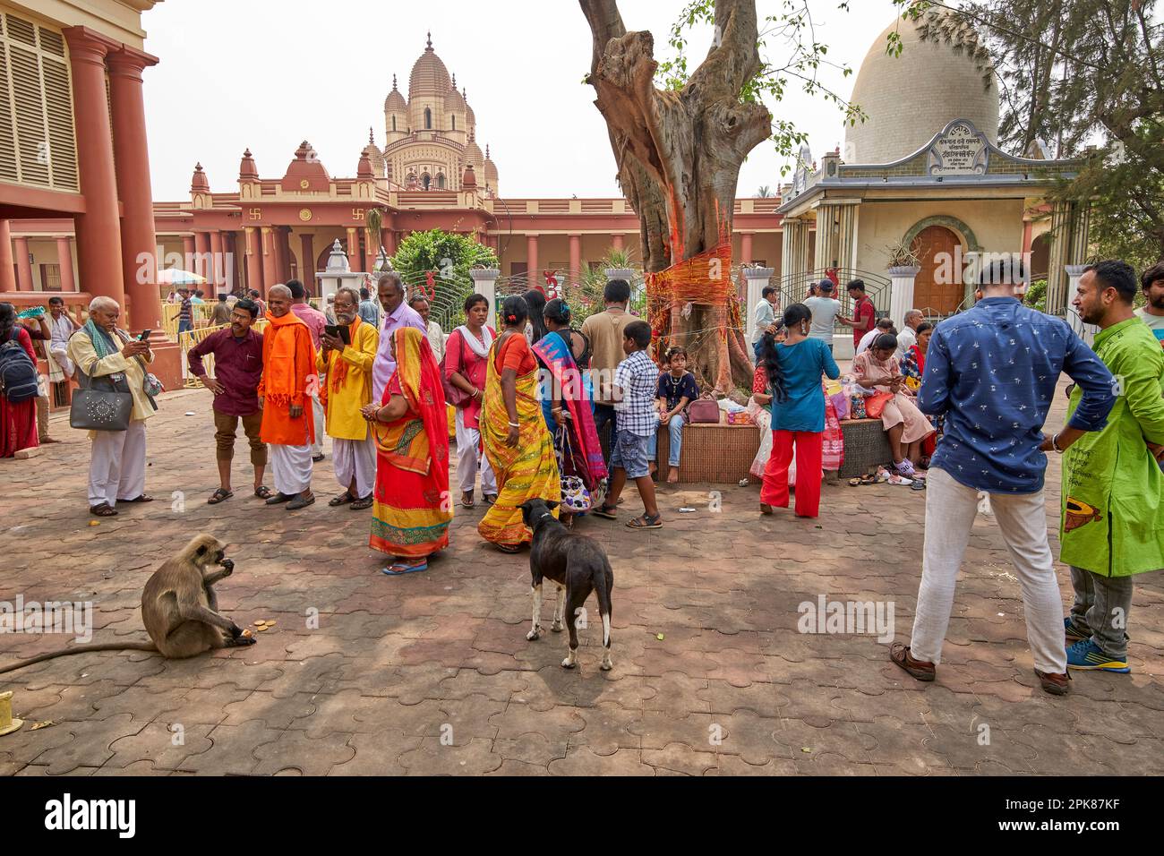 Scena al Tempio di Dakshineswar Kali, Kolkata, India. Il tempio di Dakshineswar Kali è un tempio indù della marina di Dakshineswar, Kolkata, nel Bengala Occidentale, India. Foto Stock