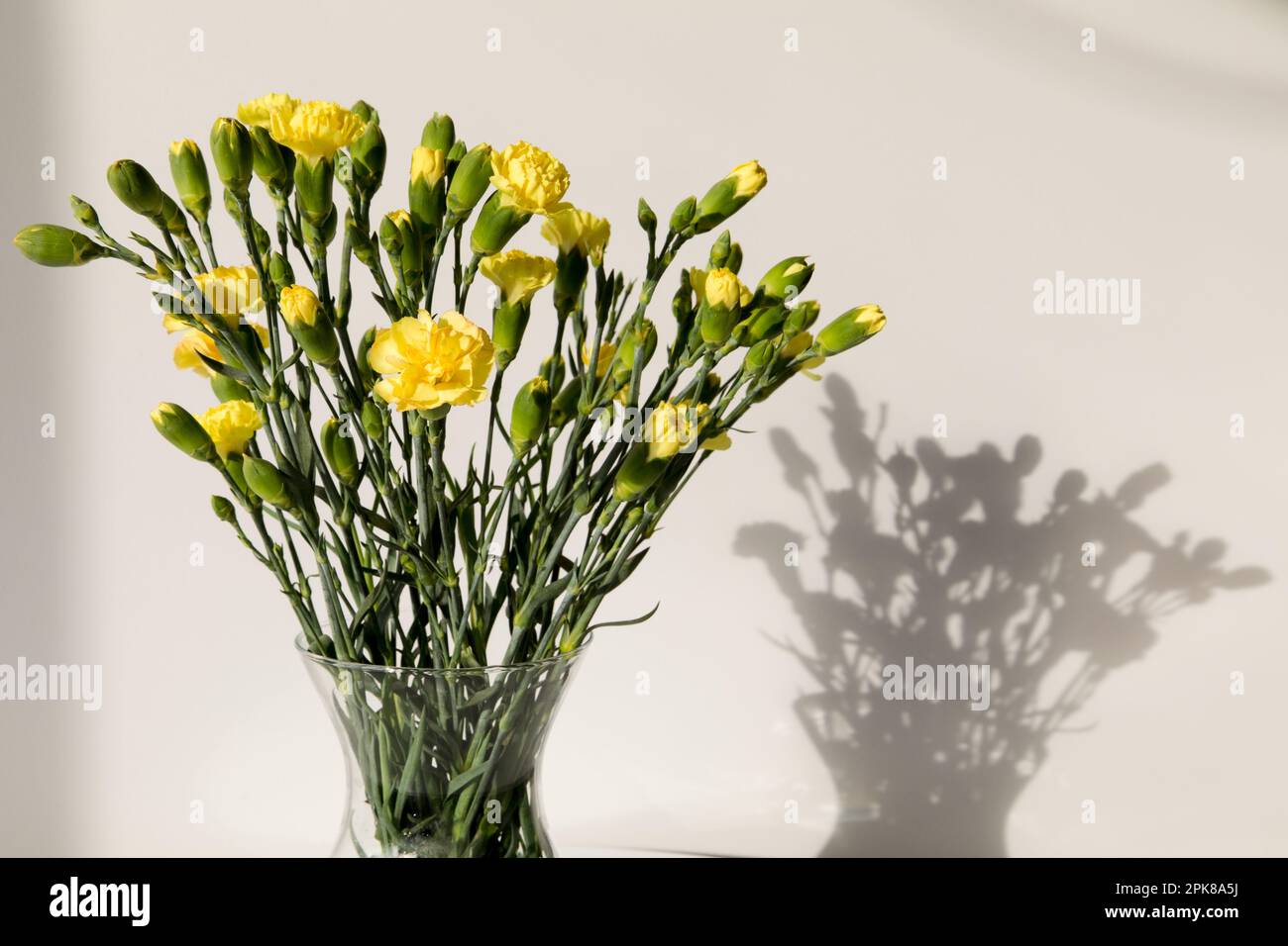 Un bouquet di garofani gialli su sfondo bianco. Foto Stock