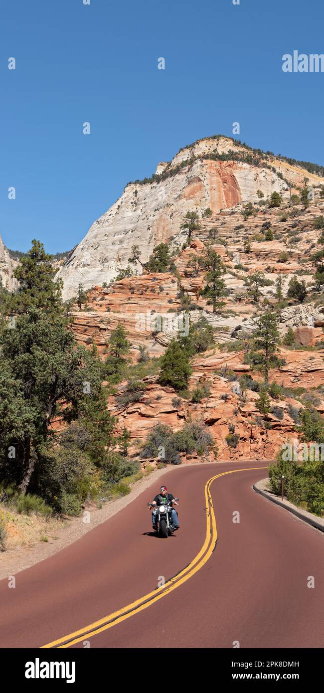 L'uomo senza casco guida la sua moto Harley Davidson sulla panoramica „Zion-Mount-Carmel-Highway“ passando davanti alle ripide montagne del Parco Nazionale di Zion orientale Foto Stock