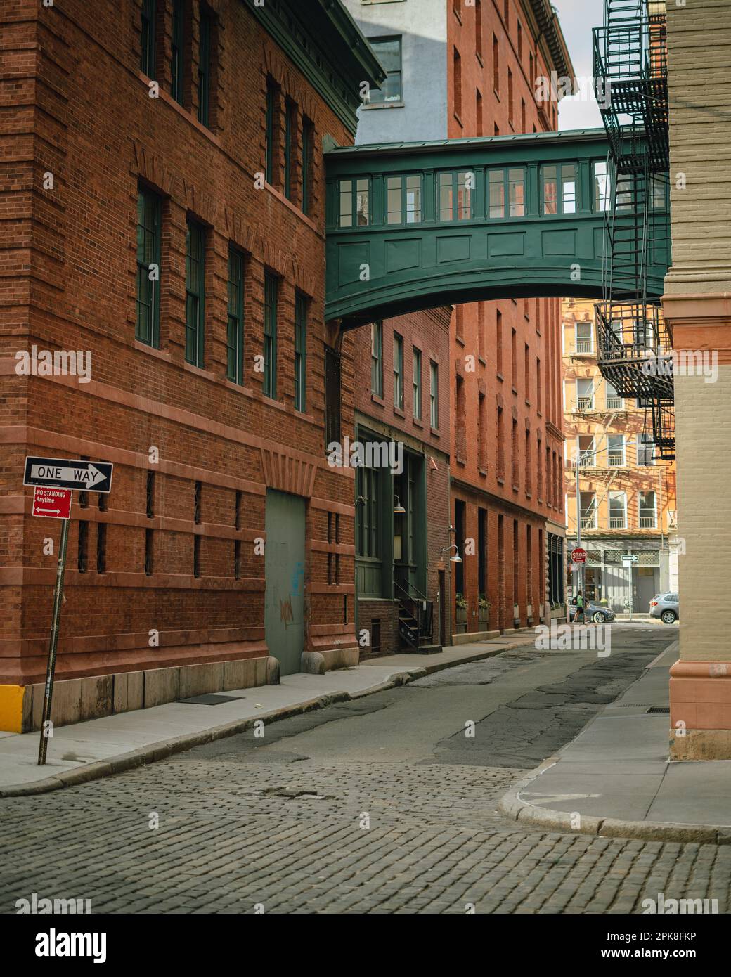 Staple Street Skybridge a Tribeca, Manhattan, New York Foto Stock