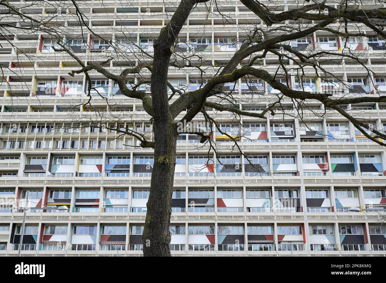 GERMANIA, condominio Unité d'habitation Typ Berlin, progettato dall'architetto francese svizzero le Corbusier, costruito nel 1957/58 per la mostra Interbau IBA 57 / DEUTSCHLAND, Berlin, Corbusierhaus, Wohnaus Unité d'habitation Typ Berlin, entworfen von Architekt le Corbusier, gebaut 1957/58 für die internationale Bauausstellung Interbau IBA 57 Foto Stock